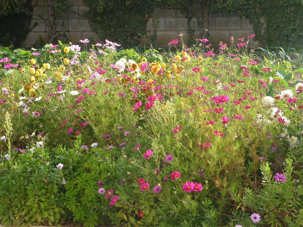 Chambre D'Hote Fleur De Potager Les Sables-dʼOlonne Exterior foto