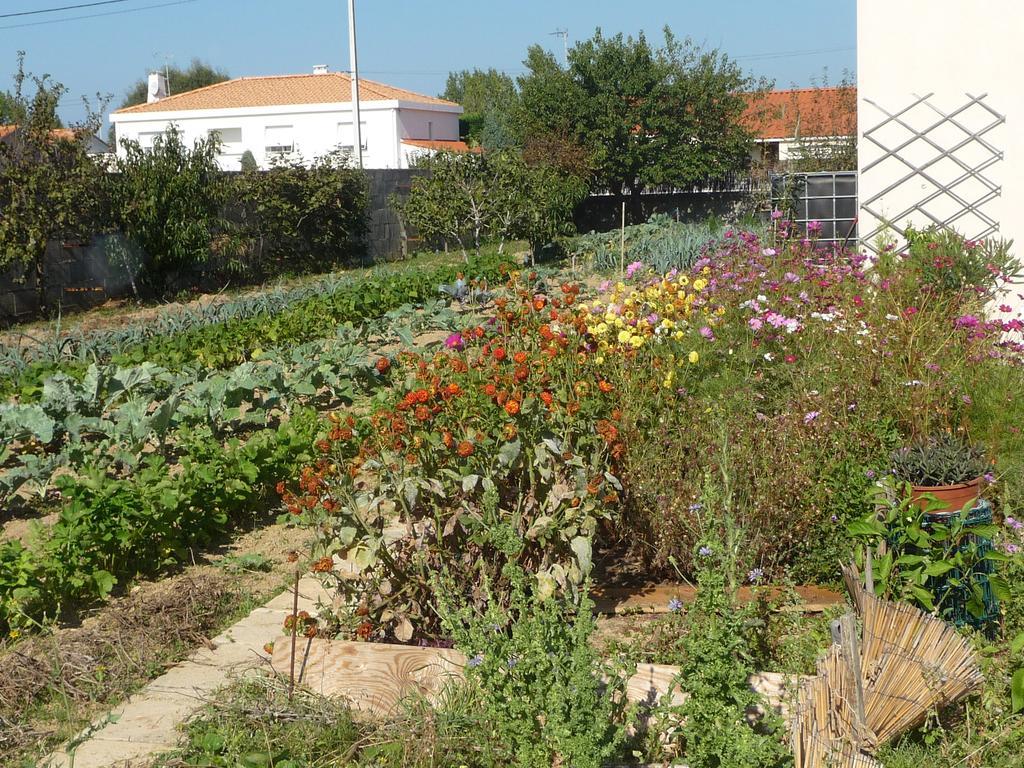 Chambre D'Hote Fleur De Potager Les Sables-dʼOlonne Exterior foto